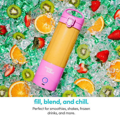 magic bullet Portable Blender MBPB50100 Silver